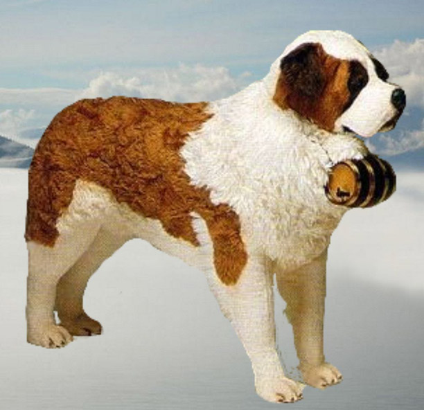 BIG FURRY FRIENDS