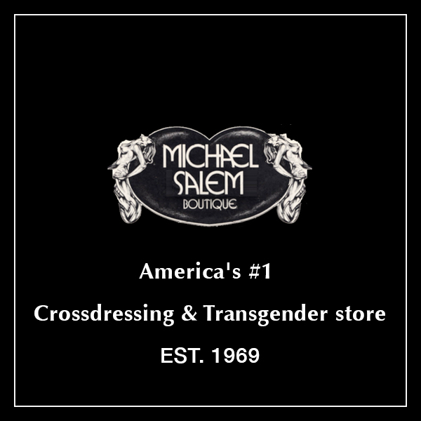 MICHAEL SALEM ENTERPRISES INC