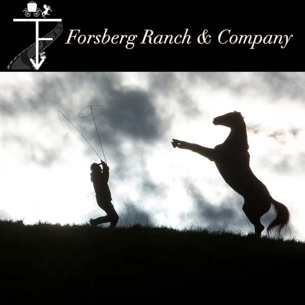 FORSBERG RANCH & COMPANY