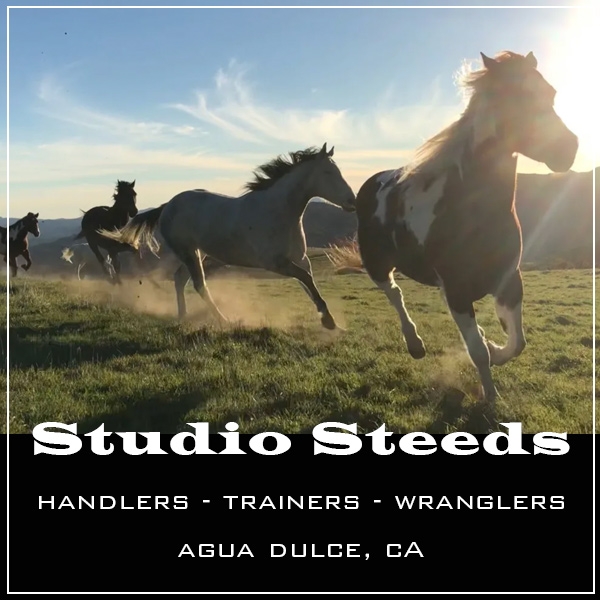 STUDIO STEEDS